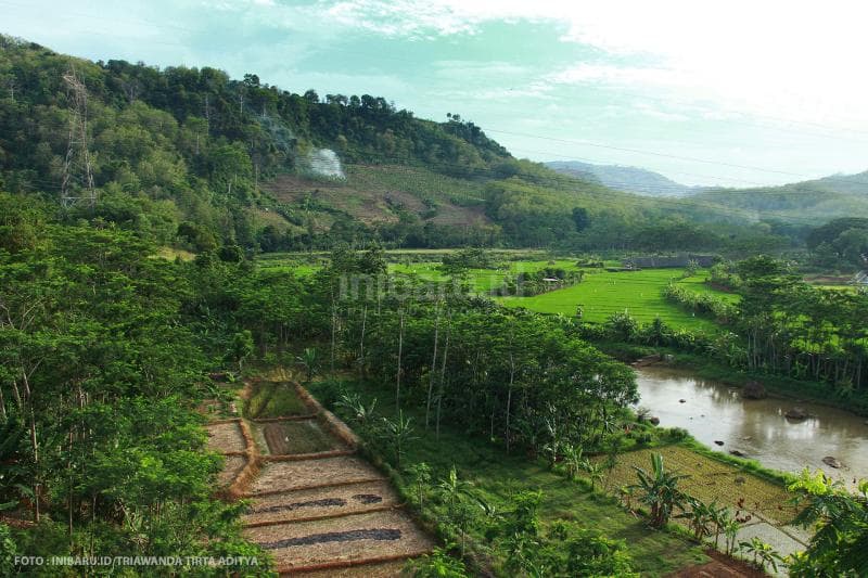 Pemandangan alam yang menyejukkan hati ini bisa kamu lihat dari Bukit Tegal Santun.<br>