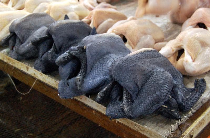 Daging ayam cemani juga ikut-ikutan hitam, lo. (Flickr/

Shubert Ciencia)