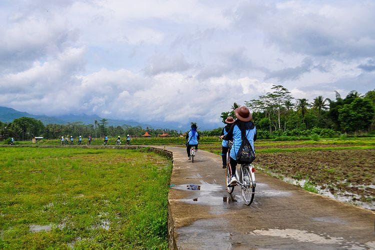 Tarif sewa sepeda di Borobudur, berapa, ya? (Kompas.com/Anggara Wikan Prasetya)