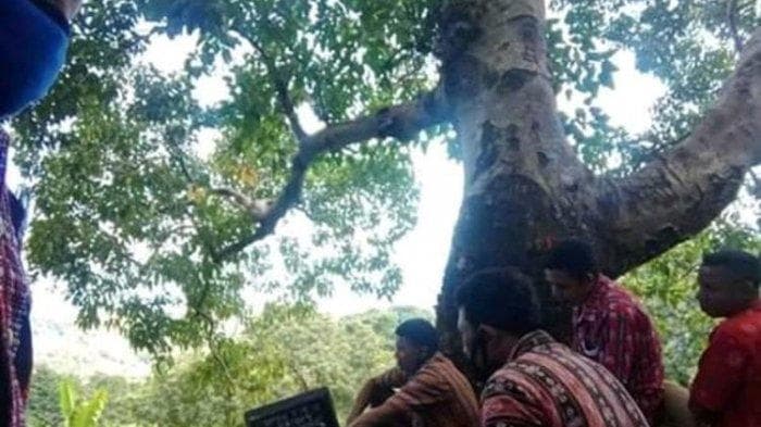 Aparat desa rela panjat pohon untuk mencari sinyal guna mengikut rapat virtual dengan bupati. (Dok. Desa Wolo Klibang)<br>
