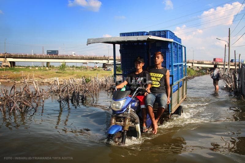 Pekerja mengendarai sepeda motor di tengah banjir rob dengan membawa hasil panen ikan bandeng di Tambakrejo.<br>