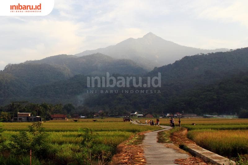 Panorama Gunung Telomoyo dari Desa Robowani. (Inibaru.id/ Triawanda Tirta Aditya)