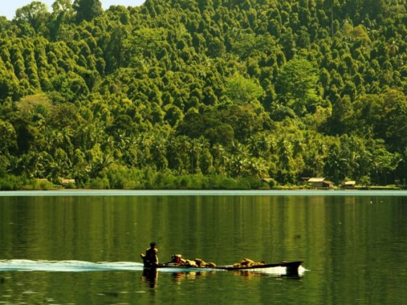 Perkebunan cengkih menjadi latar dari perairan tenang di Desa Sawai, Kecamatan Seram Utara, Maluku Tenggara. (Beritagar)