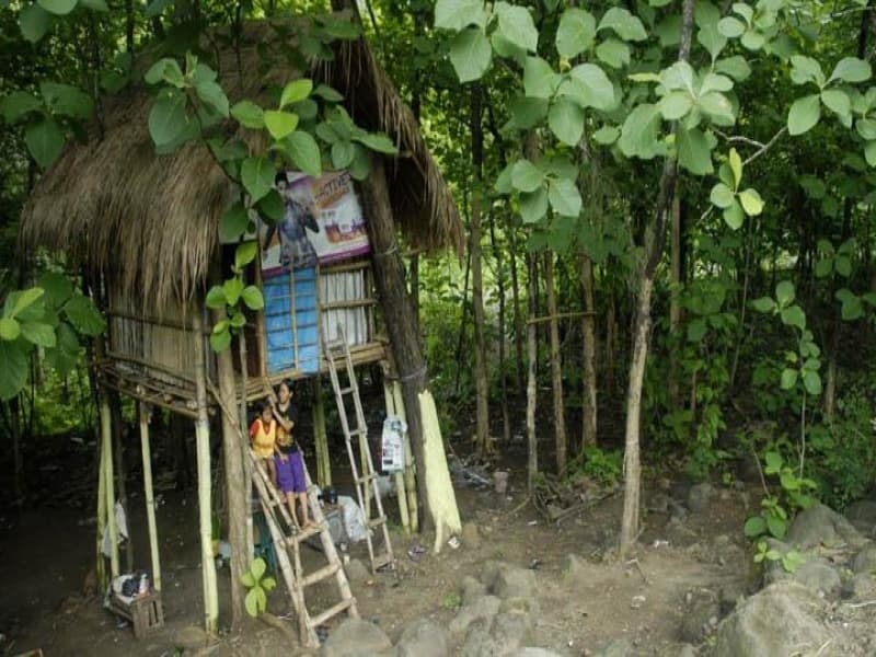 Rumah pohon yang dihuni Budiyanto dan keluarganya di Desa Plesungan, Kecamatan Gondorejo, Kabupaten Karanganyar. (Tempo.co/Bram Selo Agung)