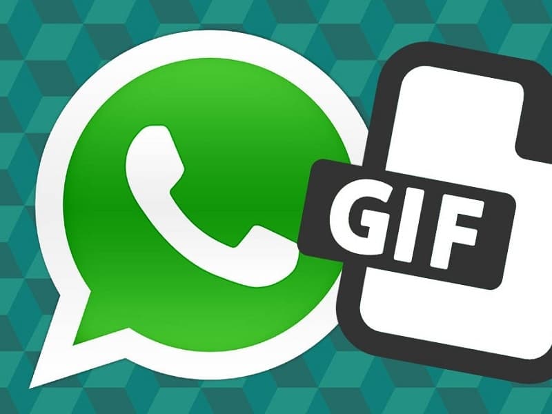 WhatsApp Gif (Movilzona)