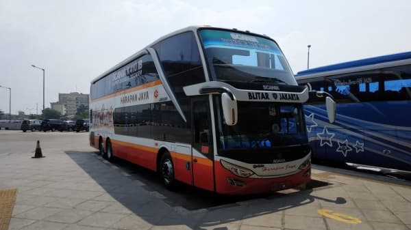 Bus Trans Jawa. (Carmudi)