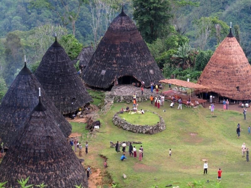 Kampung Wae Rebo, salah satu kampung adat di Flores yakni (detikTravel.com)